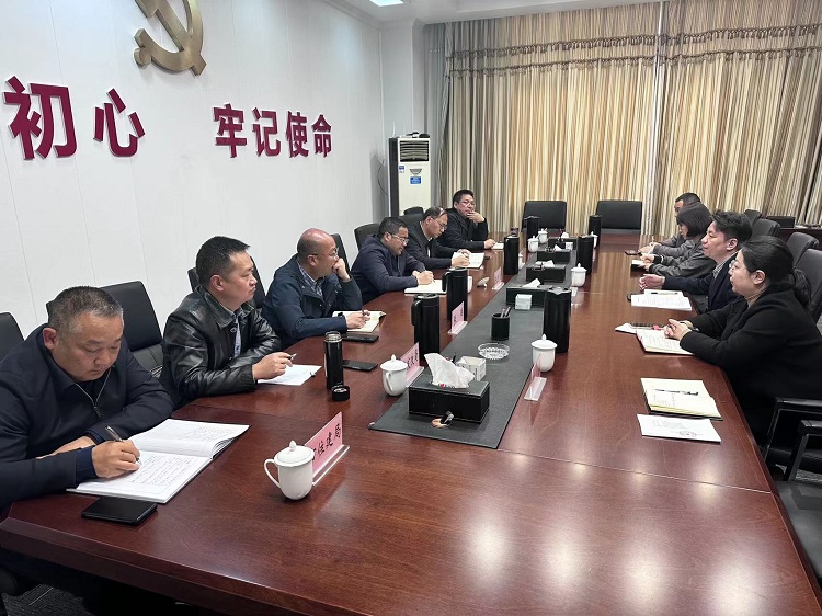 会理小镇公司与会理市委市政府举行座谈22.jpg